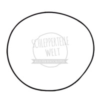 Dichtring Einspritzpumpenflansch für Hanomag Brillant 601 701 Granit 501 Perfekt 401 E