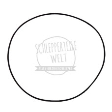 Dichtring Einspritzpumpenflansch für Hanomag Brillant 601 701 Granit 501 Perfekt 401 E