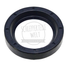 Dichtring Getriebegehäuse Bremse für McCormick / IHC DED3 D320 D436 D440 323 533 833