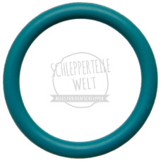 Dichtring Hydraulik Druckseite für Mercedes-Benz 700 1000 1300 1600 U 403 U 425