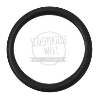 Dichtring Ölfilter passend für Hanomag Robust 800