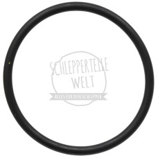 Dichtring Tankgeber für Mercedes-Benz Trac 700 800 1000 1300 1500 U 417 U 425