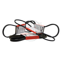 Keilriemen für Massey Ferguson A 3.152 AD 3.152 MF 35 MF 133 MF 135 MF 148