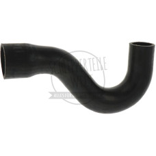 Kühlerschlauch oben Kühler an Thermostatgehäuse für Mercedes-Benz U 424 U 425 Kühlerschlauch oben Kühler an Thermostatgehäuse für Mercedes-Benz U 424 U 425