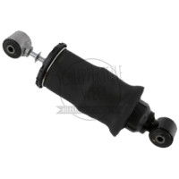 Luftfeder hinten beidseitig passend für Challenger - PSE30/15X60A2WN