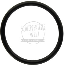 O - Ring Fixierrohr passend für Hanomag
