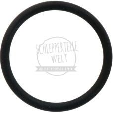 O - Ring Hubwelle passend für Fendt Farmer 102 103 104 105 106 108 X548933866000