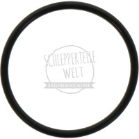 O-Ring Kraftstoffanlage passend für Fendt D 925 F 250 GT X548900866000