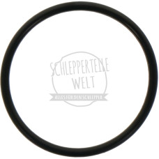 O-Ring Kraftstoffanlage passend für Fendt D 925 F 250 GT X548900866000
