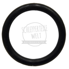 O-Ring Wasserpumpe für Hanomag 501 E 701 Brillant 601 Granit 501 Perfekt 401 E Robust 901