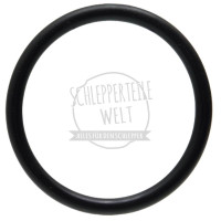 O-Ring für Fritzmeier Verdeck für Fritzmeier M 200 M 210 M 214 M 275 M 301 M 701