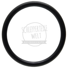 O-Ring für Fritzmeier Verdeck für Fritzmeier M 200 M 210 M 214 M 275 M 301 M 701