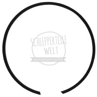 Sprengring für Fendt Farmer 104 105 106 108 FW 238 FW 258