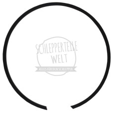 Sprengring für Fendt Farmer 104 105 106 108 FW 238 FW 258
