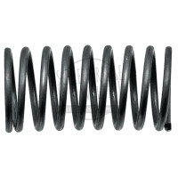 Ventilfeder innen passend für Porsche-Diesel