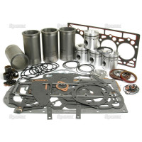 Motorüberholsatz für Case IH 574 684 685XL 695 743 744 745XL 833 840 940 - D239