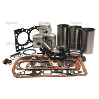 Motorüberholsatz für Ford / New Holland 4000 4600 4610 4630 550 555 - BSD333